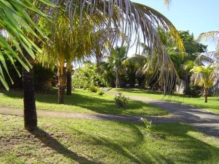 Hotel Cas'A Willy Sainte-Rose Exterior foto